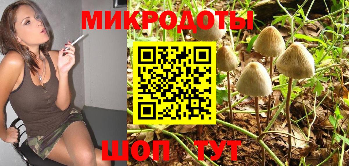 Псилоцибиновые грибы Cubensis  Галлюциногенные грибы Psilocybine cubensis  Тара  Вход с VPN 