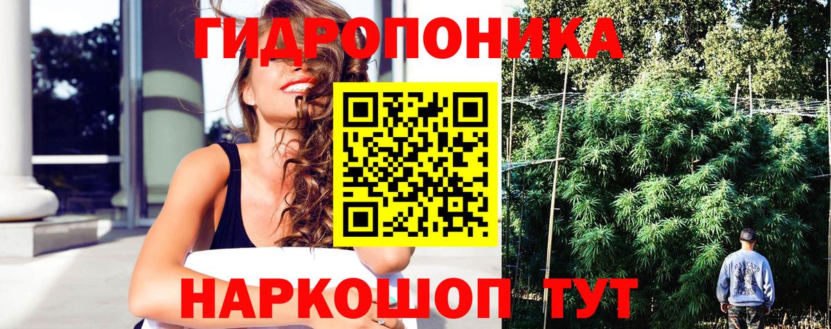 Конопля сатива  Конопля Bruce Banner  Вход с VPN  Шишки марихуана Bruce Banner  Тара  Канабис MAZAR 